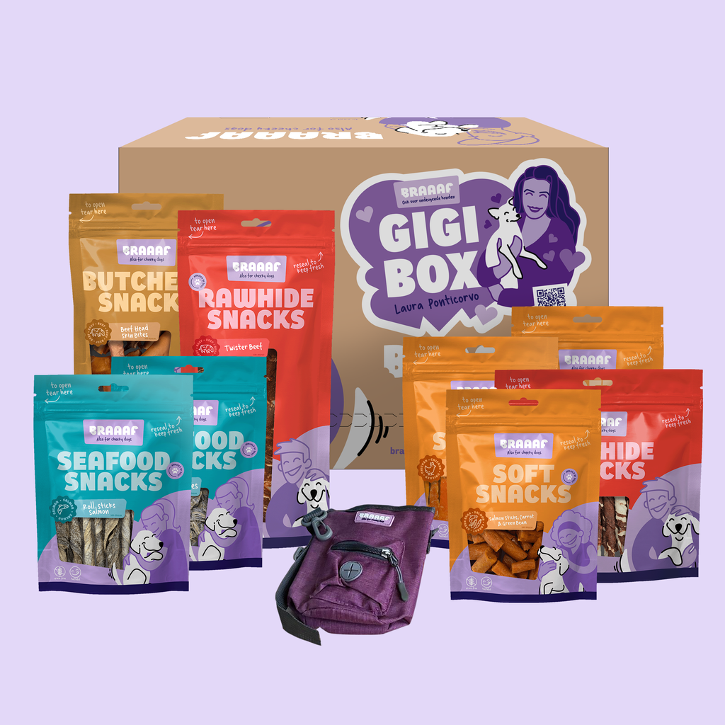 Gigi Box